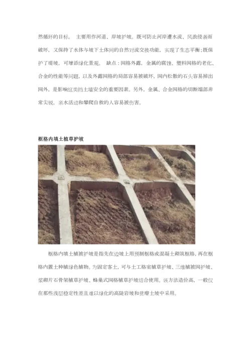 生态护坡工程方案选择.docx