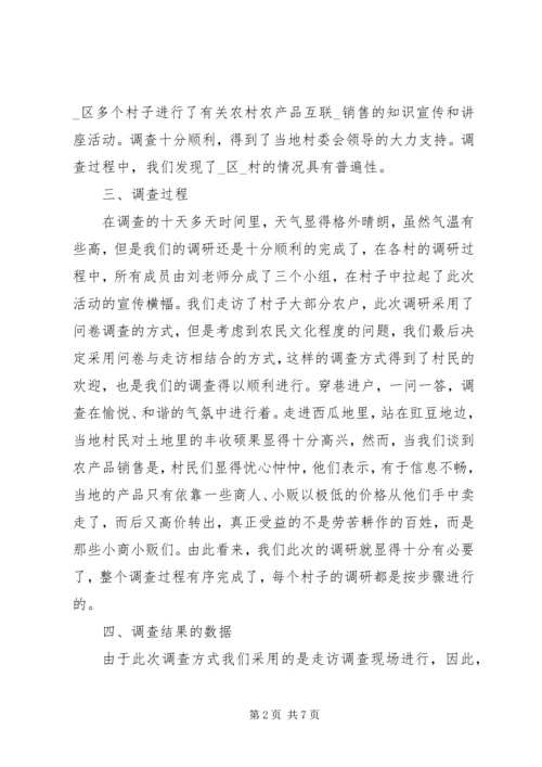 大学乡村个人实践报告.docx