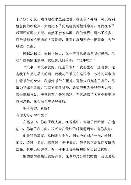 2022年有你真好小学作文(精选15篇)