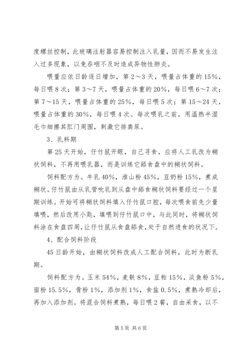 竹鼠养殖计划书 (4).docx