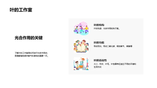 揭秘绿色之源