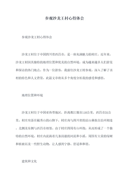 参观沙龙王村心得体会