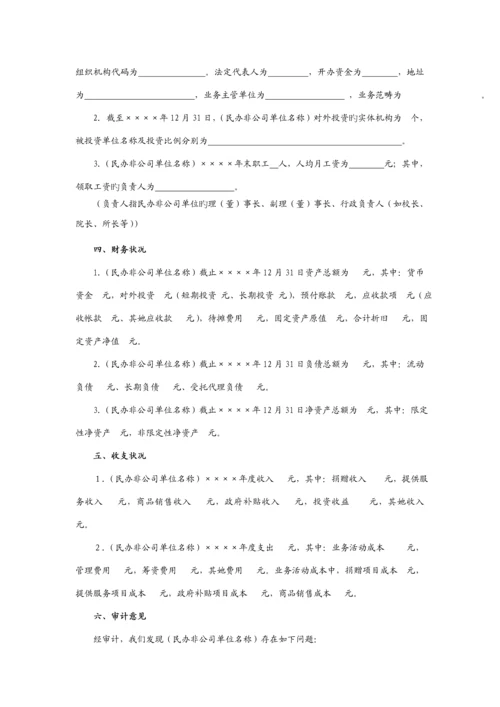 民办非企业单位财务设计标准报告.docx