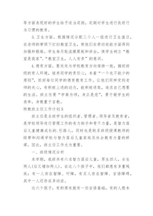 特教班主任工作计划.docx