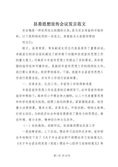 县委思想宣传会议发言范文.docx