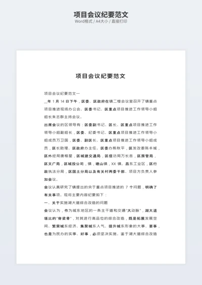 项目会议纪要范文