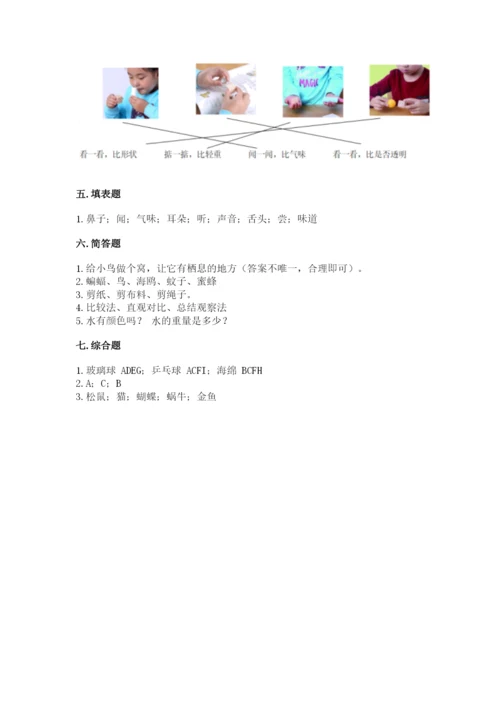 教科版一年级下册科学期末测试卷及参考答案【预热题】.docx