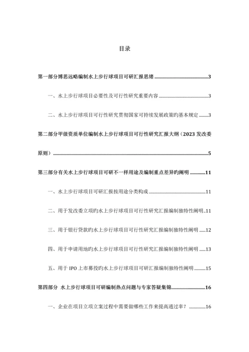 水上步行球项目可行性研究报告发改立项备案最新案例范文详细编制方案.docx