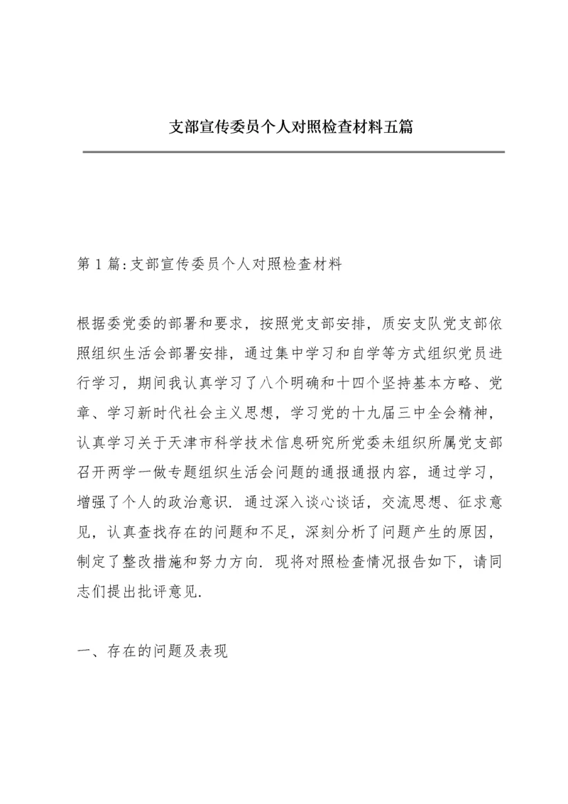 支部宣传委员个人对照检查材料五篇.docx