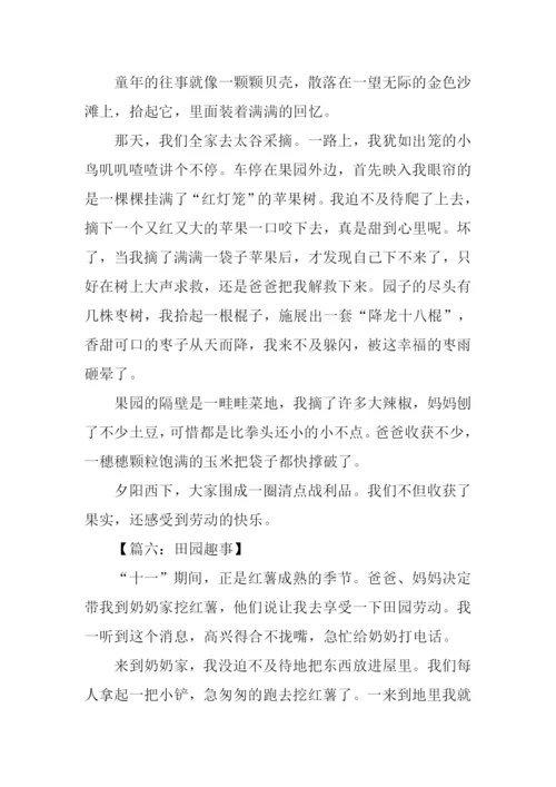 田园趣事作文.docx