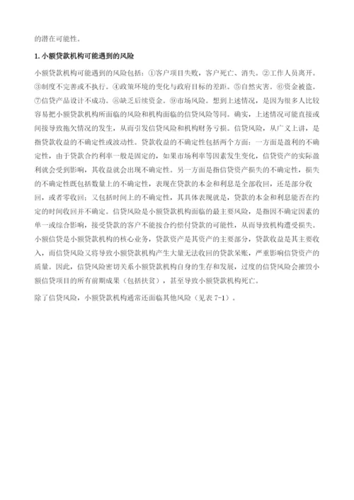 小额贷款机构的信贷风险管理-内部控制和欺诈防范.docx