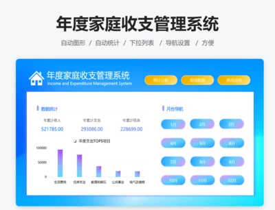 年度家庭收支管理系统