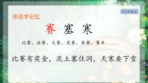23祖先的摇篮 课件