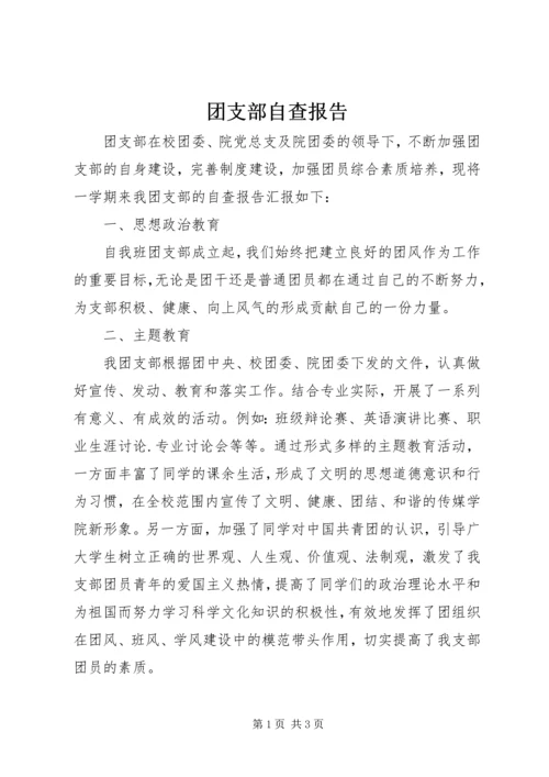 团支部自查报告.docx