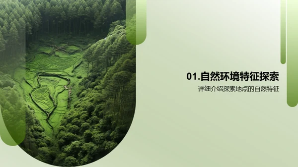 生态漫游：探索与认知
