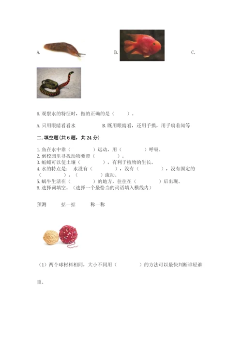 教科版小学科学一年级下册期末测试卷附参考答案【综合卷】.docx