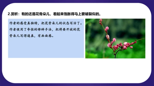 统编版三年级语文下学期期中核心考点集训第一单元（复习课件）