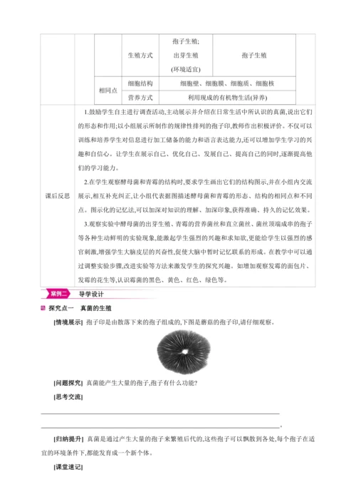 5.4.3真菌【2024秋人教八上生物精彩课堂（素材+教案+导学案）】
