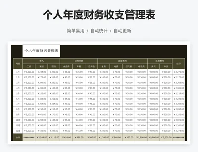 个人年度财务收支管理表