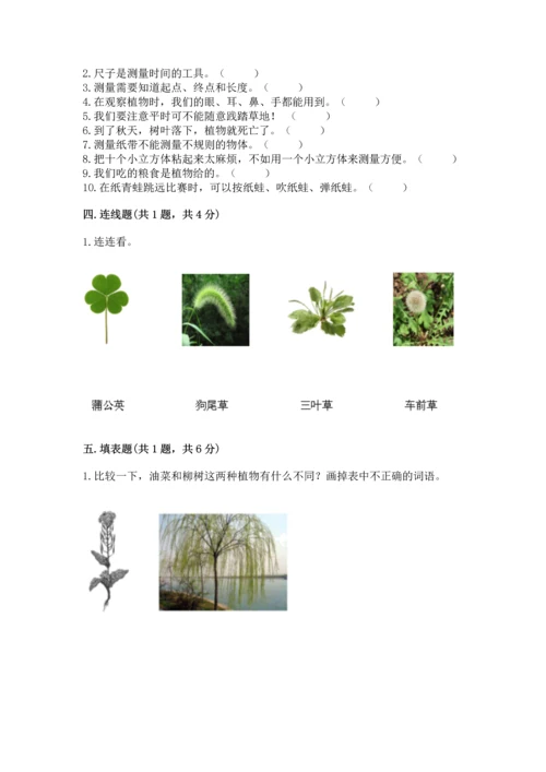 教科版一年级上册科学期末测试卷【典优】.docx