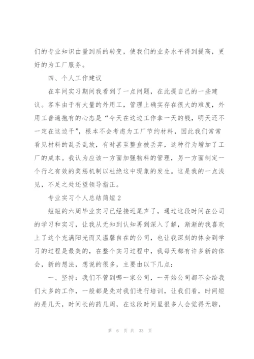 专业实习个人总结简短10篇.docx