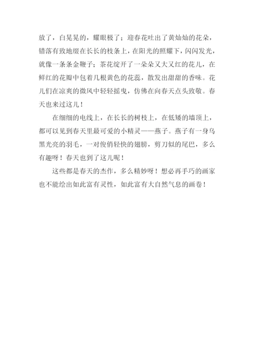 春天的作文四年级.docx