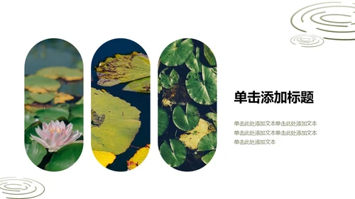绿色简约荷花元素教育行业诗文教学PPT模板