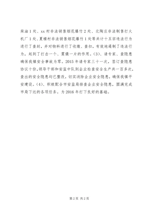 乡镇安监中队年度工作总结.docx