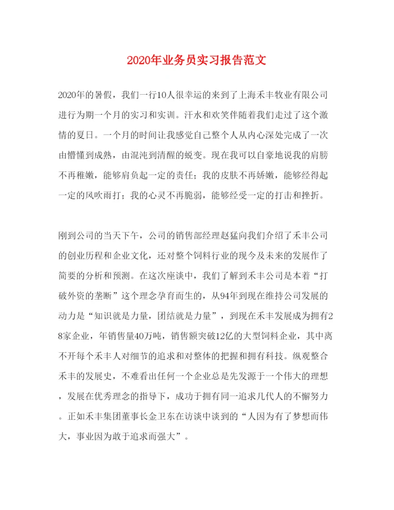 精编年业务员实习报告范文.docx