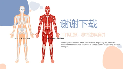 简约医疗骨骼肌肉系统动态PPT