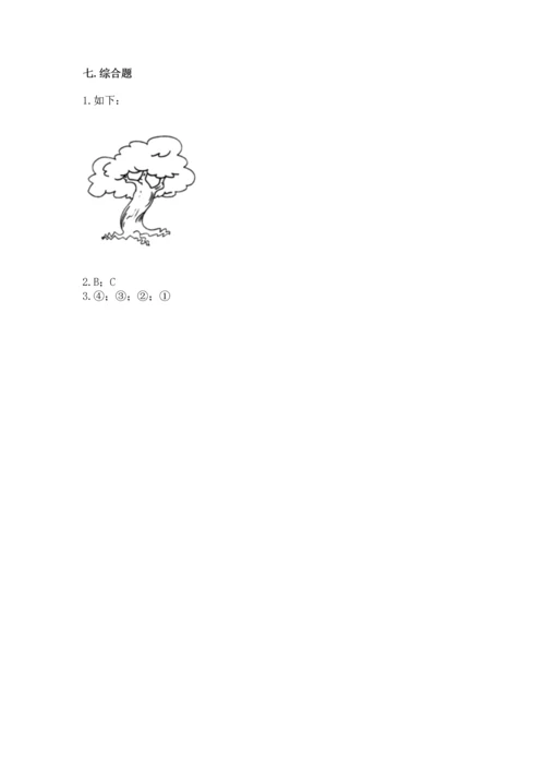 教科版科学一年级上册第一单元《植物》测试卷有答案.docx