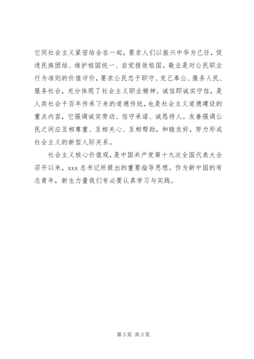 社会主义核心价值观心得体会社会主义核心价值观有感.docx