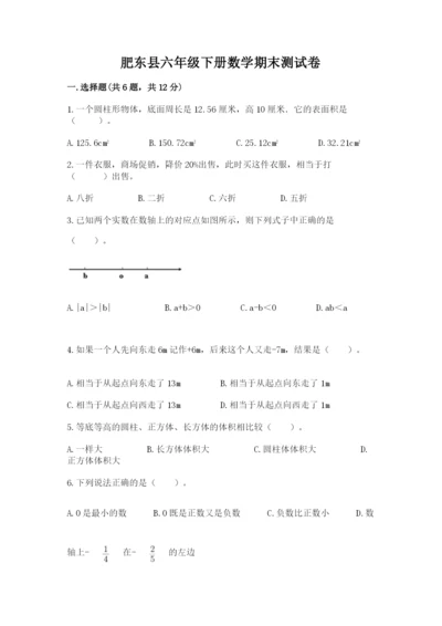 肥东县六年级下册数学期末测试卷完整参考答案.docx
