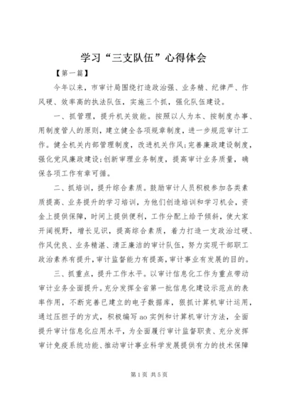 学习“三支队伍”心得体会 (3).docx