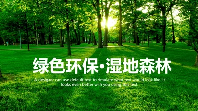 湿地森林世界湿地森林日植树造林动态PPT模板
