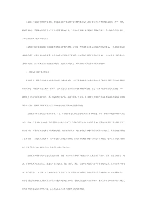 中国银行业资产质量与风险评估报告.docx