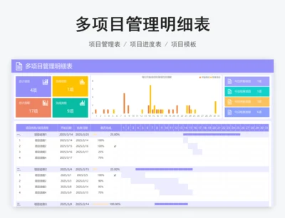 多项目管理明细表