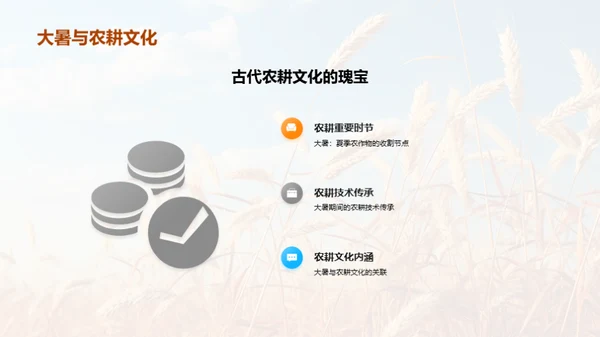 大暑教学策略