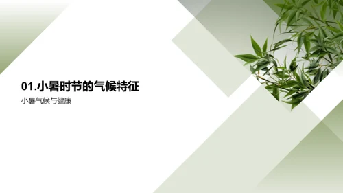 小暑季节健康之道