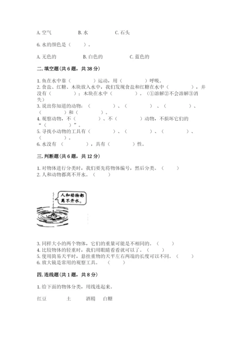 教科版小学科学一年级下册期末测试卷（有一套）.docx