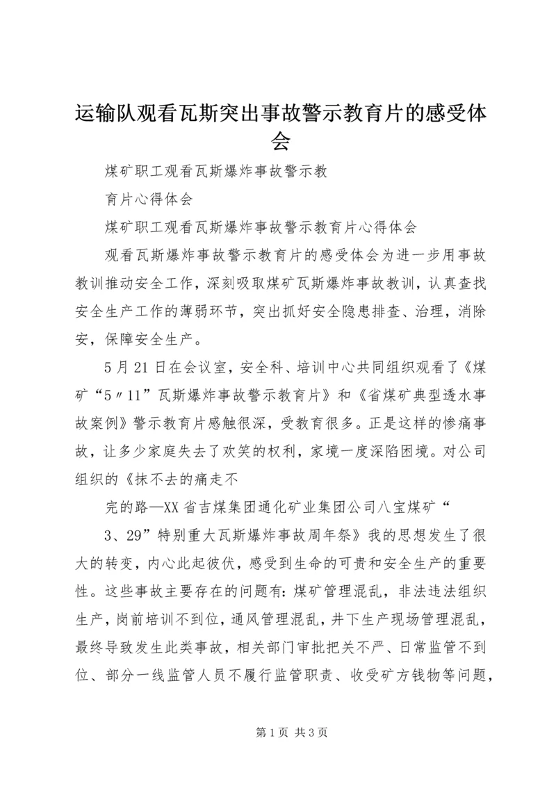 运输队观看瓦斯突出事故警示教育片的感受体会 (2).docx