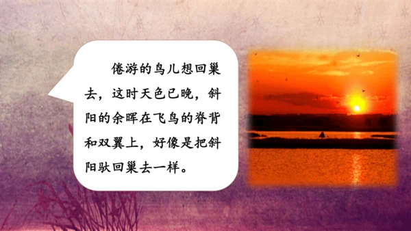 3.《现代诗二首》课件