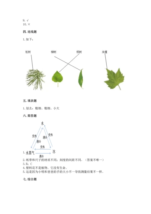 教科版一年级上册科学期末测试卷带答案（新）.docx