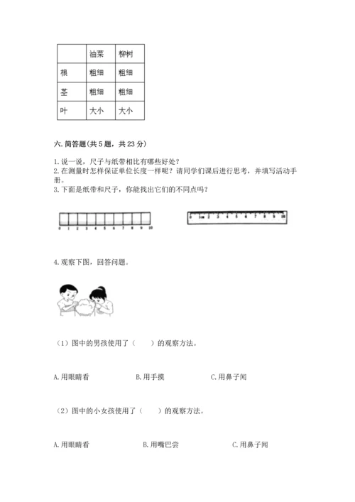 教科版小学一年级上册科学期末测试卷及参考答案【预热题】.docx