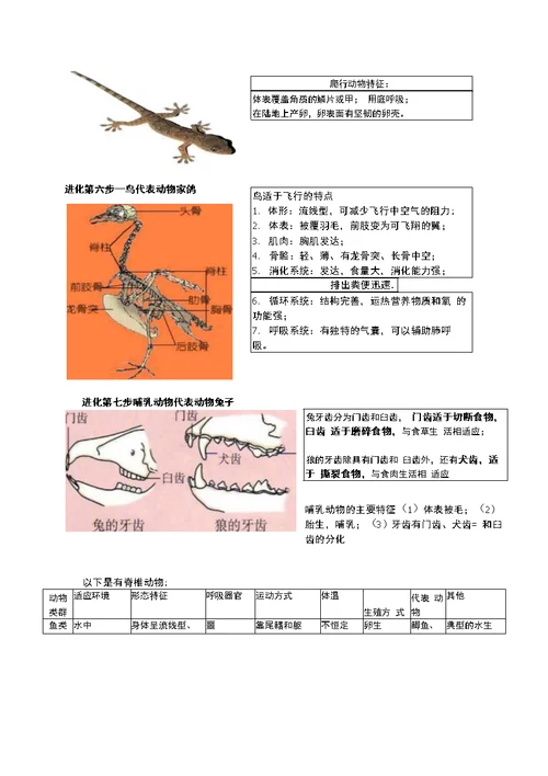 动物的主要类群复习课