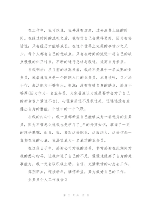 业务员个人工作报告5篇.docx