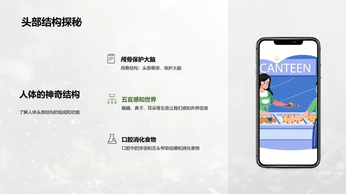 人体系统协作讲座PPT模板