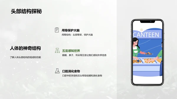人体系统协作讲座PPT模板
