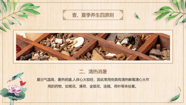 三伏养生中医食疗PPT模板