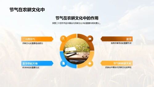 解析夏至的科学与文化